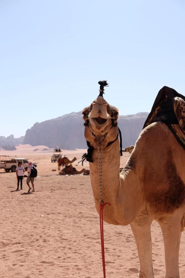 Wadirum Momoo Wadi Rum Extérieur photo
